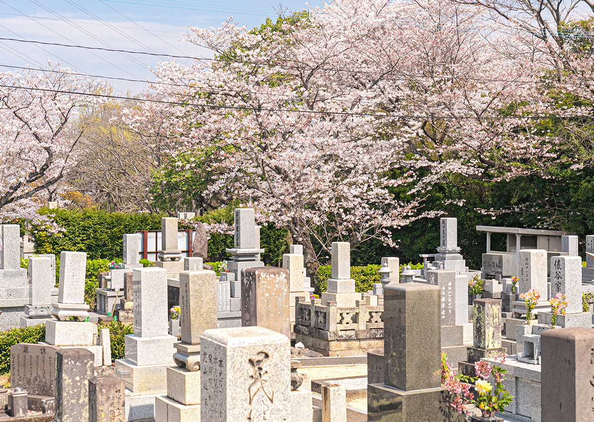 常妙寺墓苑