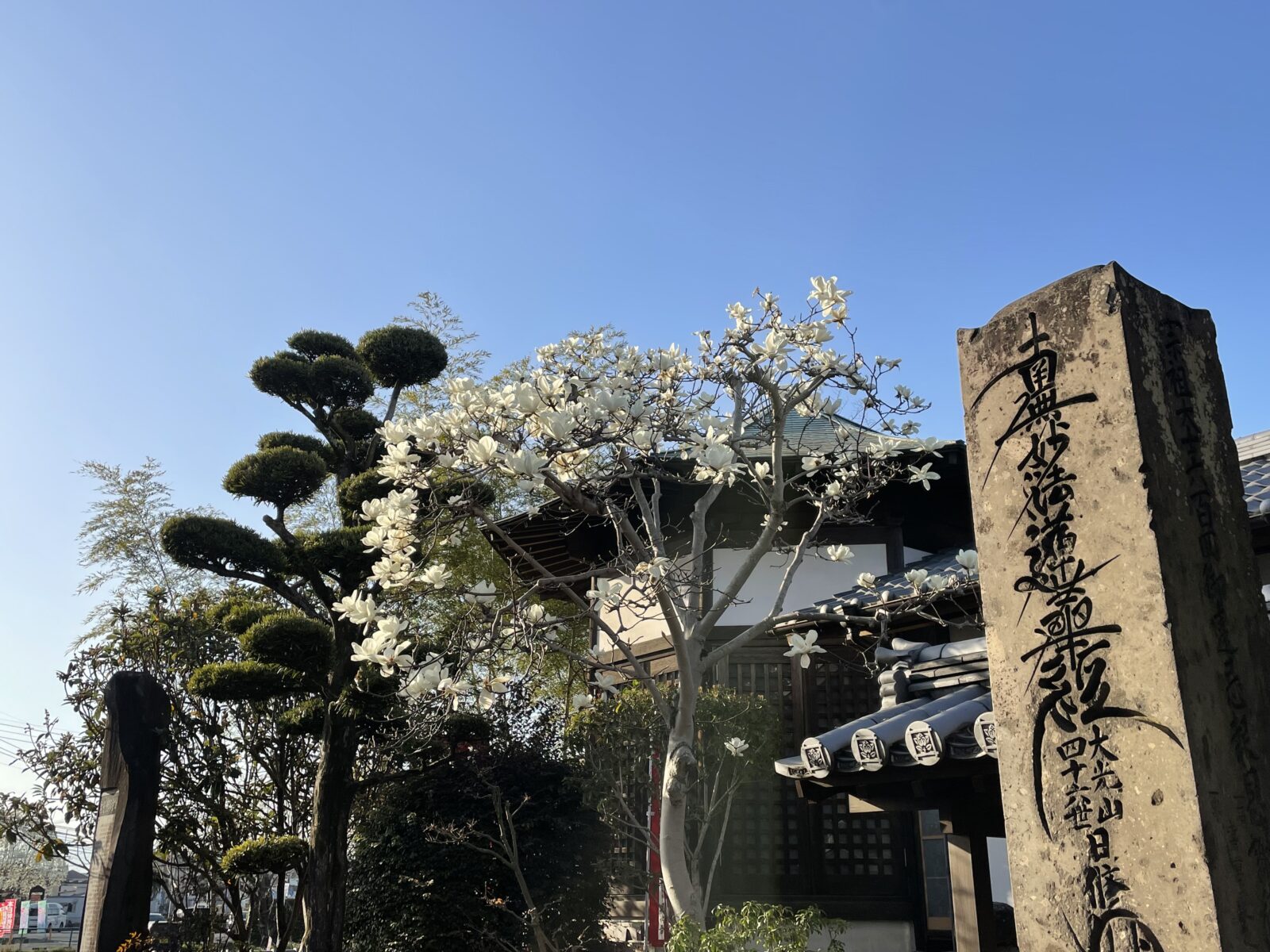 春のお礼参り